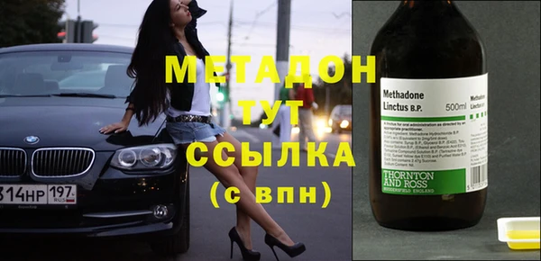 индика Горнозаводск
