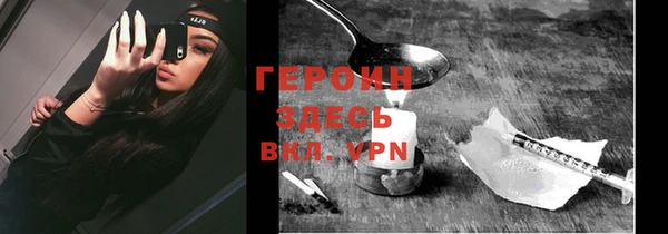 индика Горнозаводск