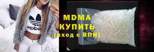 индика Горнозаводск