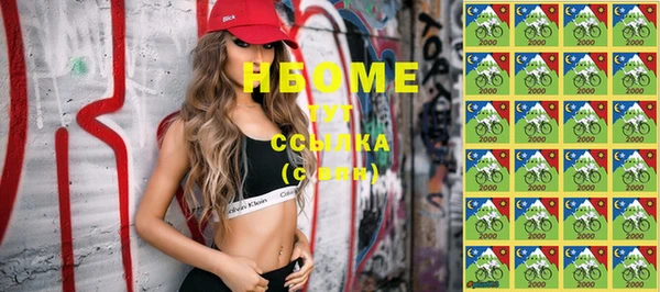 индика Горнозаводск