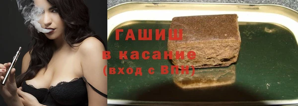 индика Горнозаводск