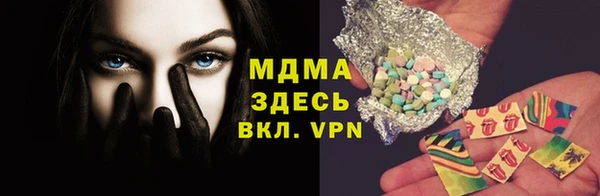 индика Горнозаводск
