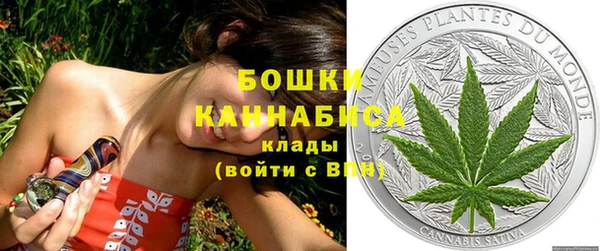 дурь Горно-Алтайск