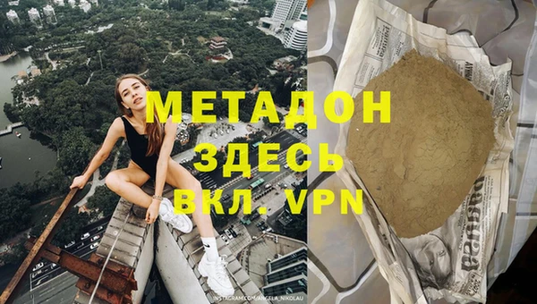 индика Горнозаводск