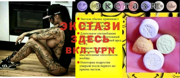индика Горнозаводск