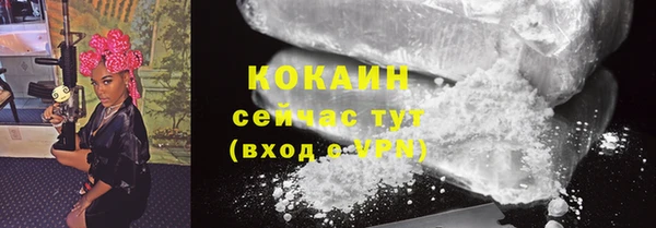 индика Горнозаводск