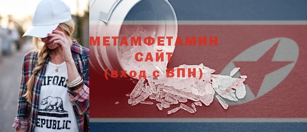 индика Горнозаводск
