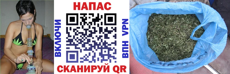 Купить  Саки  Канабис OG Kush 
